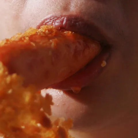 Chicken strip
